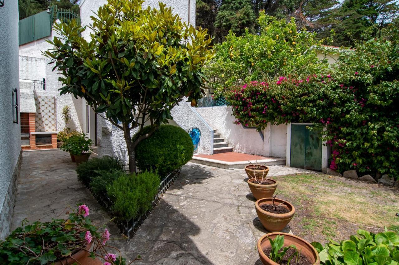 Vivenda Santiago Villa Sesimbra Dış mekan fotoğraf